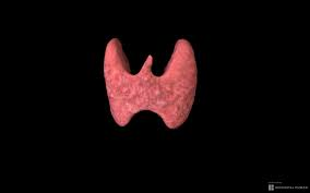 Es falso que aplicar perfume en el cuello altere la tiroides o las hormonas